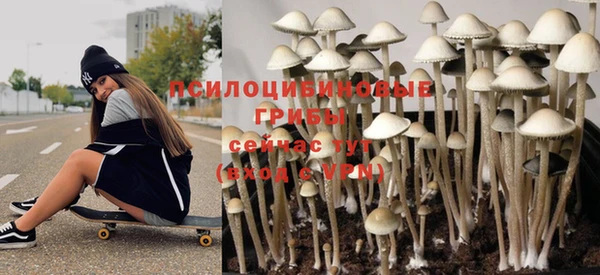 меф Арсеньев